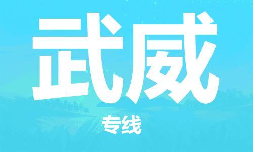 深圳到武威物流專線-深圳至武威貨運(yùn)-深圳到武威物流公司-深圳到武威空運(yùn)物流公司高效，快捷
